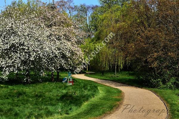 Attenborough Arboretum