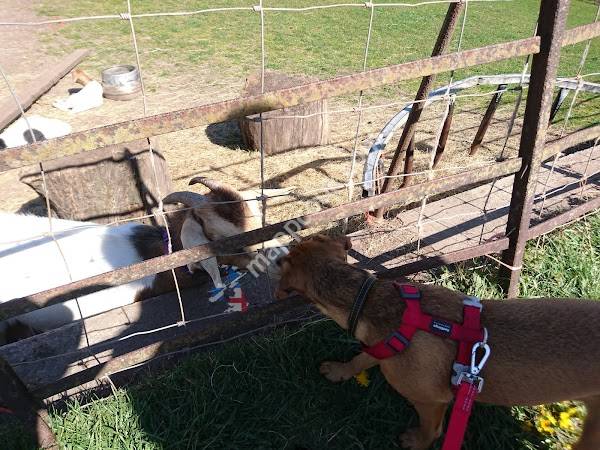 Broad Close Car Park