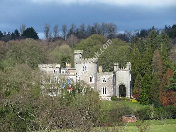 Cabin Wood, Woodland Trust