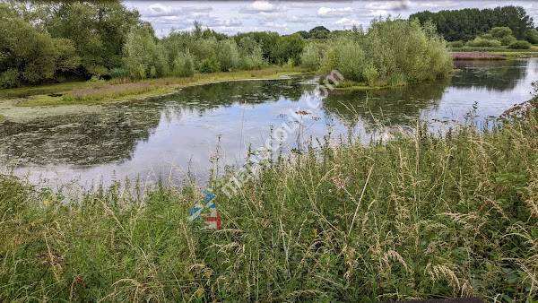 Canal Pool Birdwatch Hut
