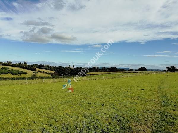 Clwb Rygbi Wrecsam Wrexham Rugby Club