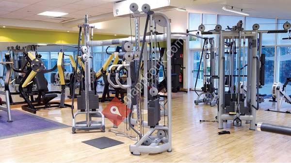 David Lloyd Ringwood