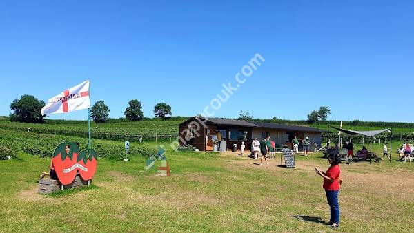 Grange Farm Harpole PYO and Maize Maze