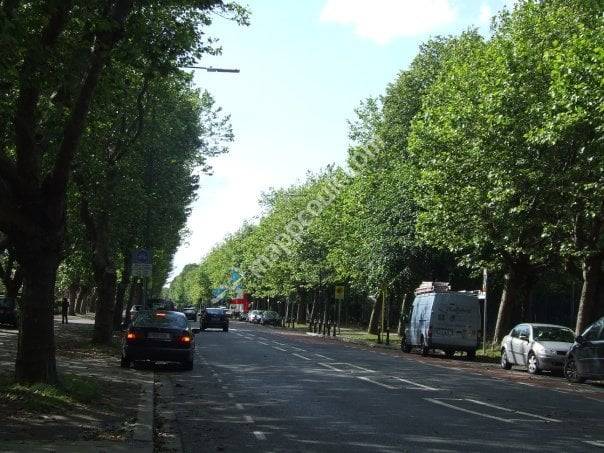 Griffith Avenue