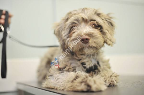 Heathside Veterinary Surgery