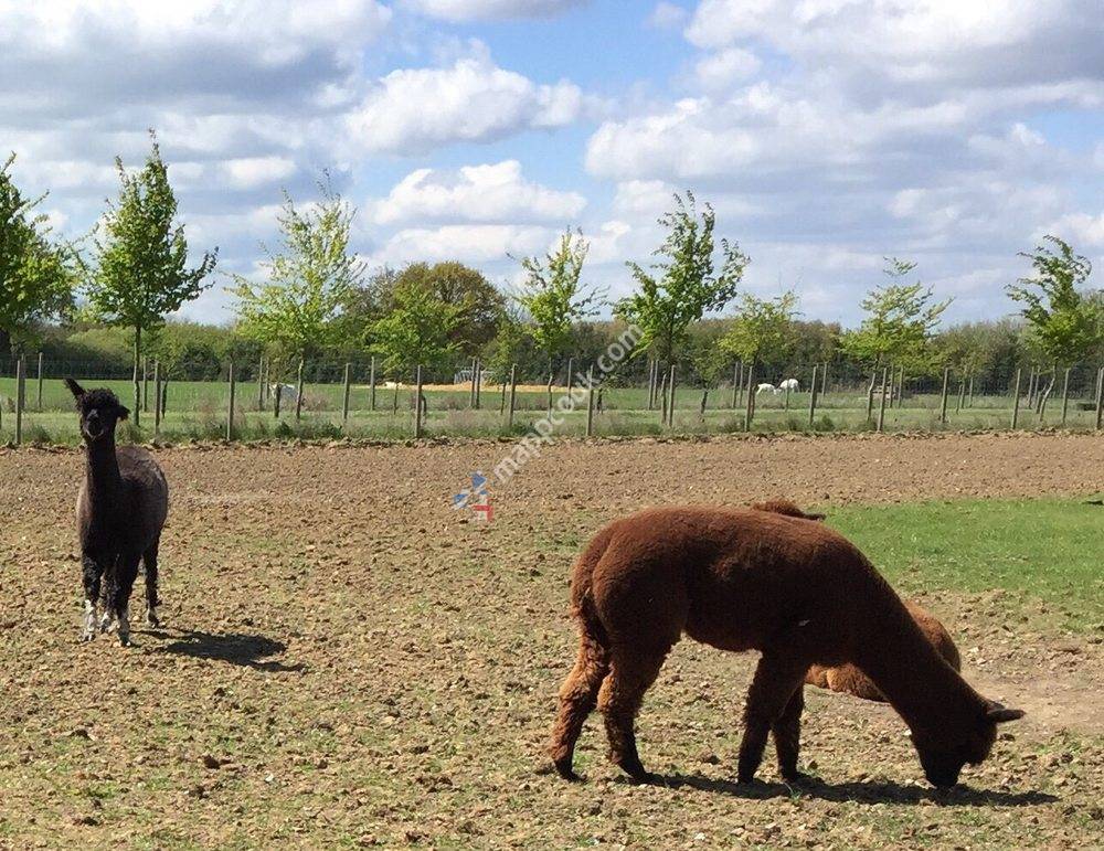 Hollow Trees Farm Shop