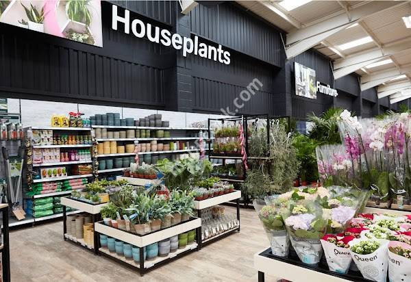 Homebase - Cheltenham