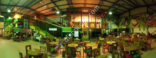 Jungle Madness Soft Play