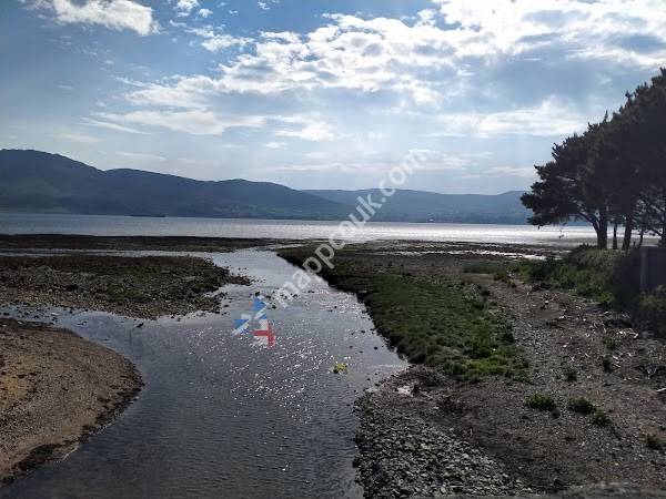 Leonard Cheshire - Belfast