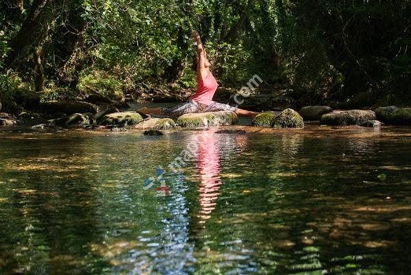 Love Yoga Tree with Natalie
