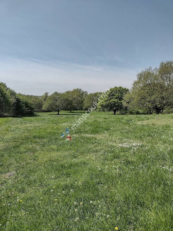 Lower Lodge Farm Colne Nature Reserve