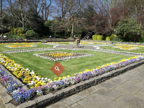 Manor Heath Jungle Experience