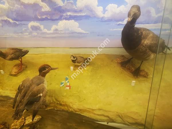 Mersea Island Museum