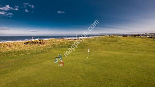 Montrose Golf Links Ltd