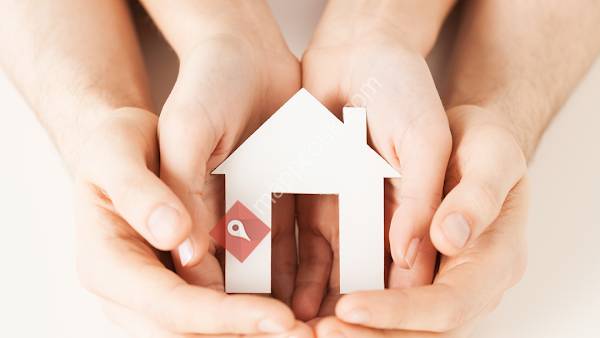 Pauline Neve & Associates Ltd