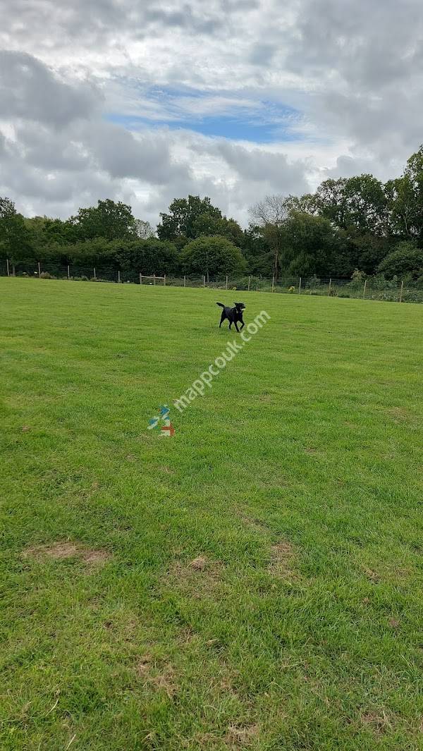 Paw Paddock - Ashington