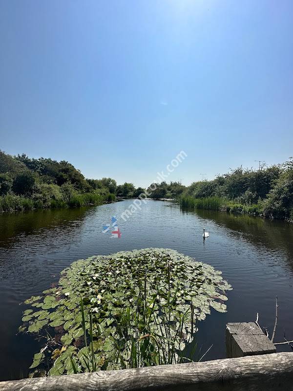 Rhuddlan Nature Reserve
