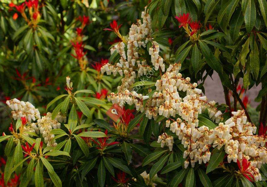 St. John's Churchyard Park