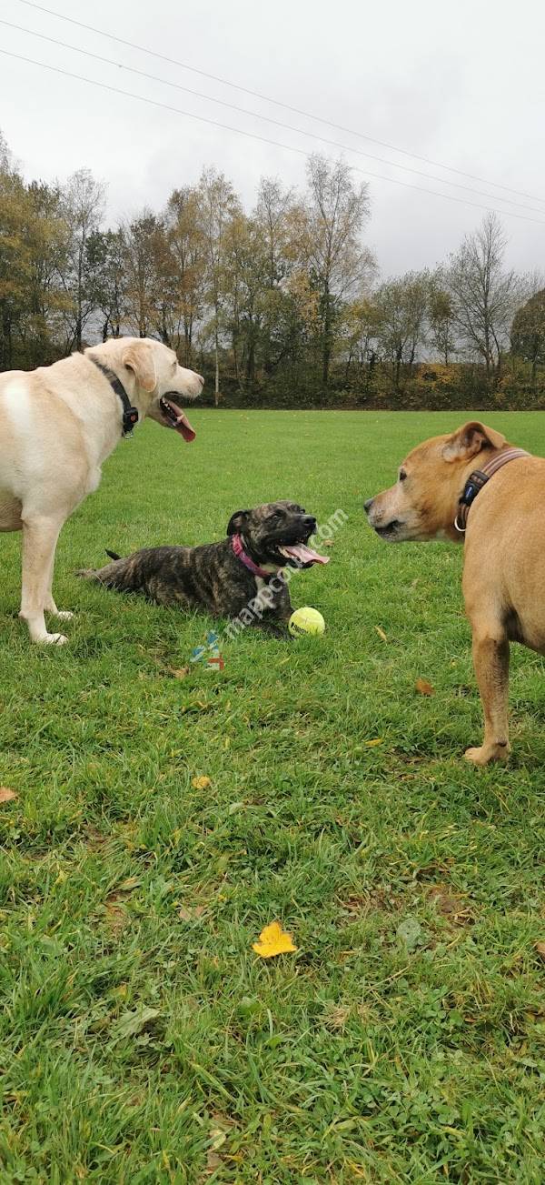 Tedburn Recreation Field