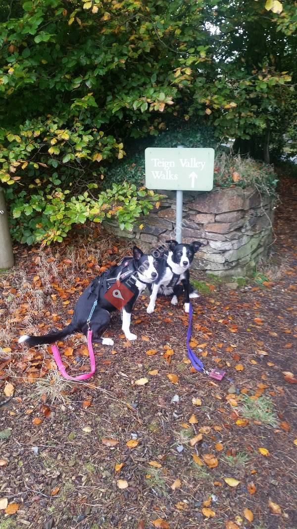 Teign Vally Classis Circuit