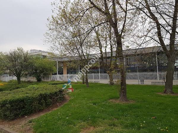 The Basildon Upper Academy