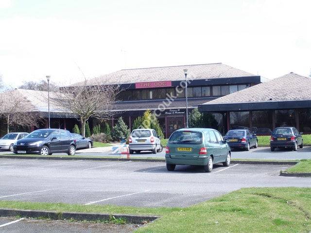 The Dog - Harvester Pub & Grill