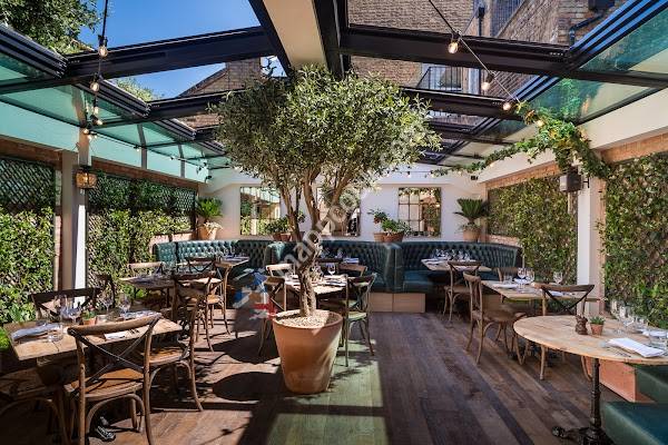 The Fox and Pheasant