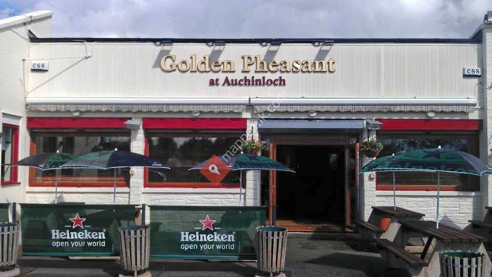 The Golden Pheasant