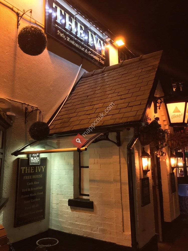 The Ivy