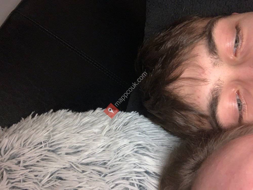 The Olive Tree Restaurant