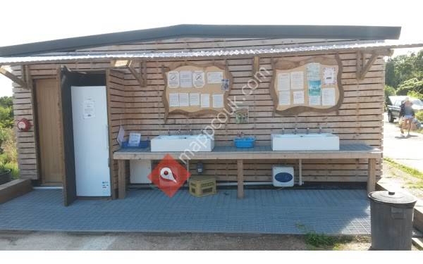 The Secret Campsite (Lewes)