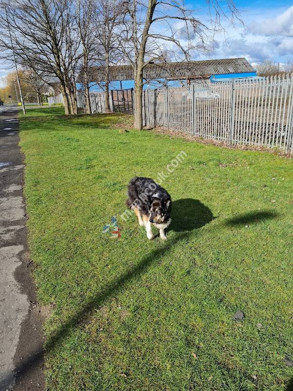 The Veterinary Centre