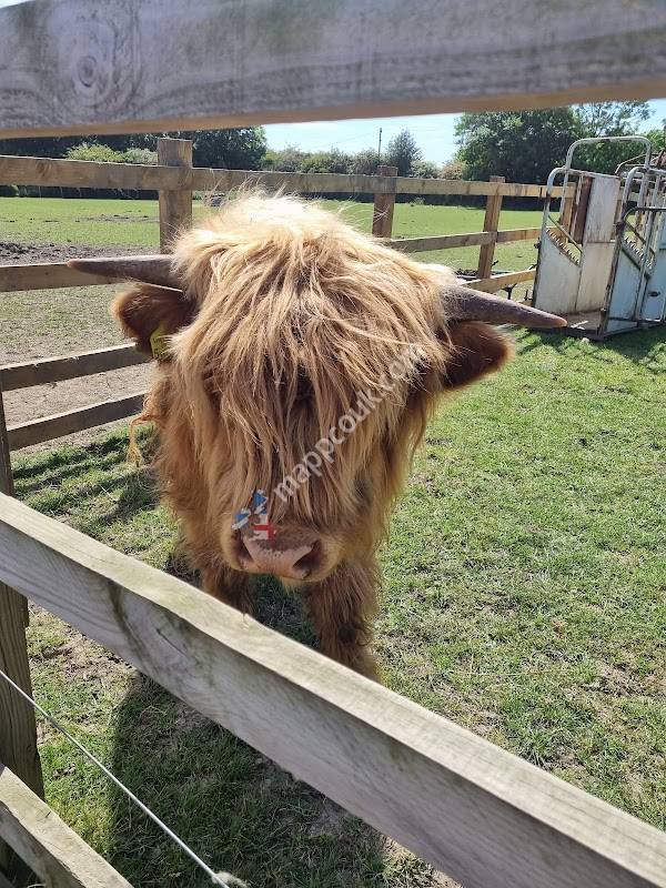 The Watering Hole Farm Gawthorpe