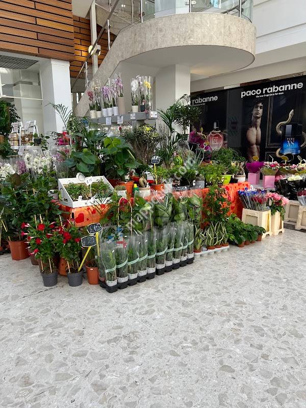 Treaty Shopping Centre