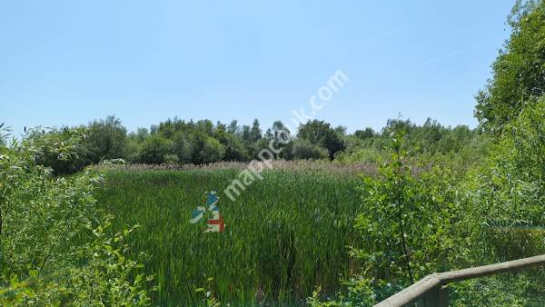 Viewpoint, Bird Kitchen, RSPB Middleton Lakes