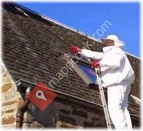 West Midlands Wasp Control