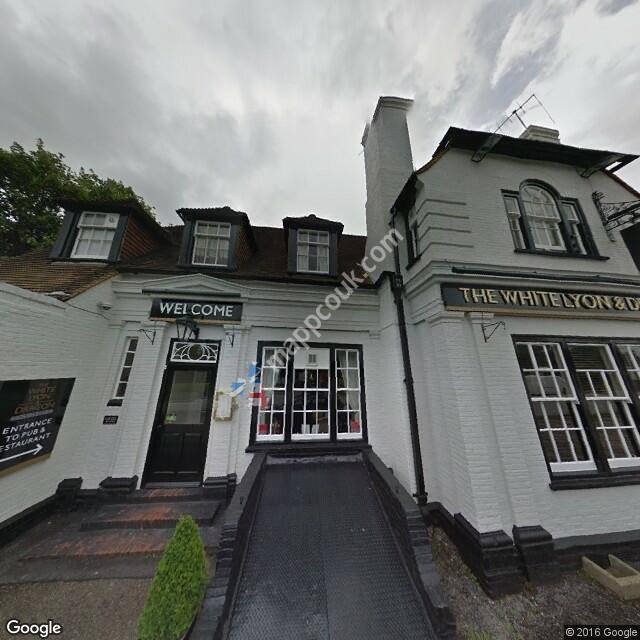 White Lyon and Dragon