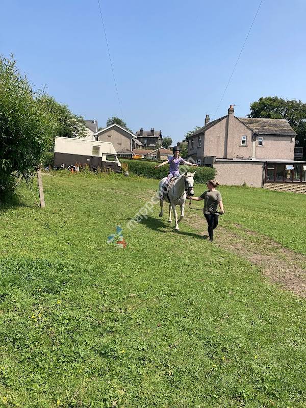 Willow Dene Stables