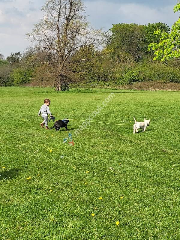 Woodlands Playing Fields